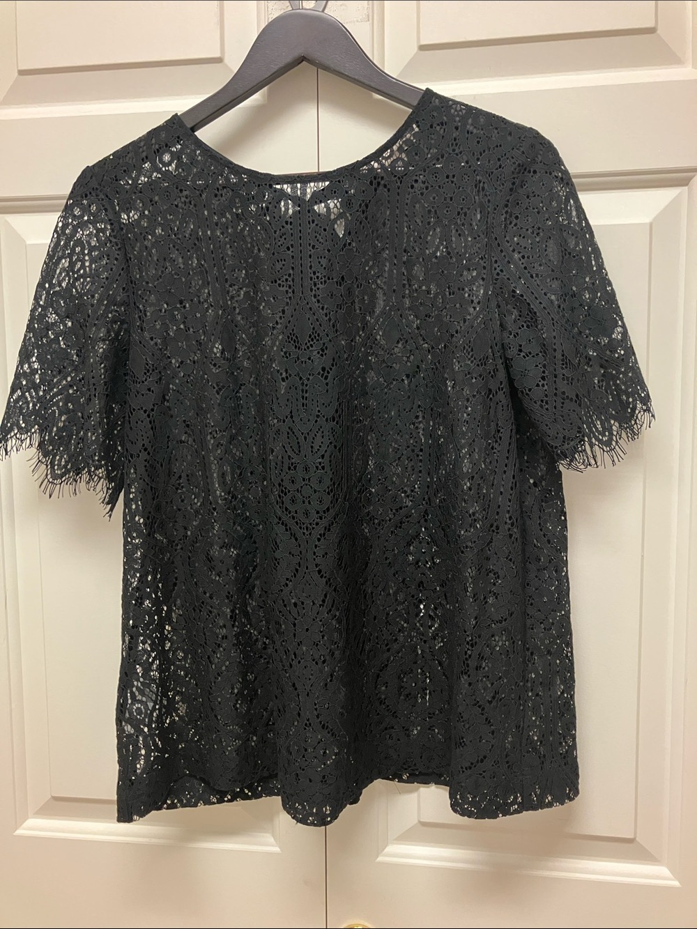 LOFT Black Lace Short Sleeve sheer Blouse, long tie bow, M